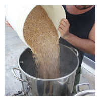 Malte Panela